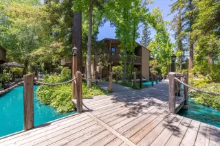 Photo #1: 20053973 Listing 