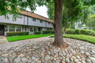 Photo #1: 20054127 Listing