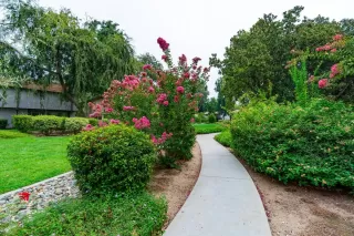 Photo #4: 20054127 Listing