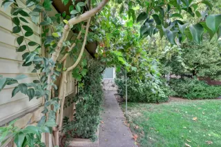 Photo #1: 20054234 Listing 