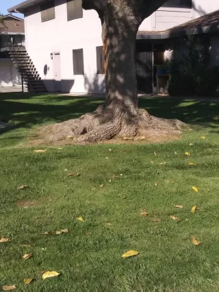 Photo #2: 20054427 Listing