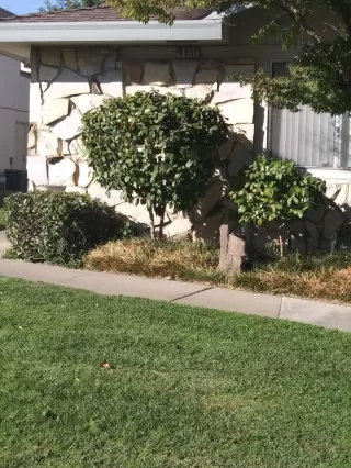 Photo #3: 20054427 Listing