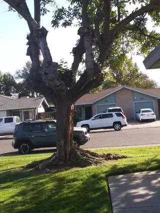 Photo #4: 20054427 Listing