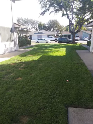 Photo #5: 20054427 Listing