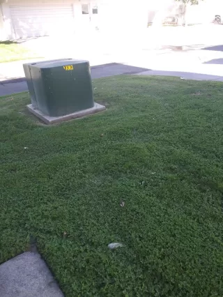 Photo #6: 20054427 Listing