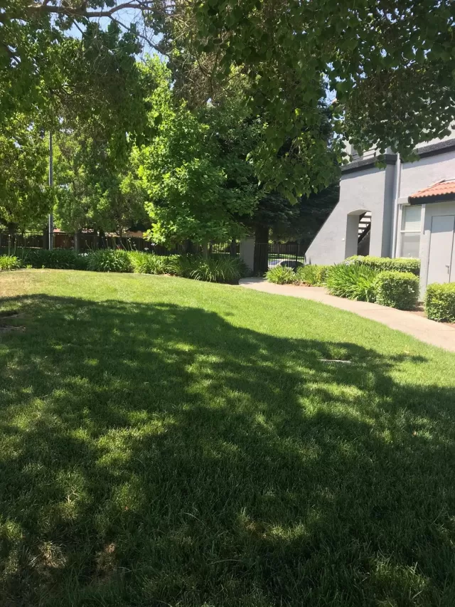 MLS: 20054584 Condo For Sale