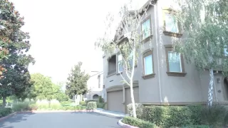 Photo #1: 20054604 Listing 