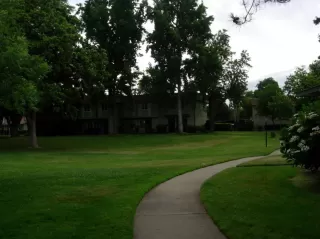 Photo #1: 20055312 Listing