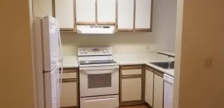 Photo #1: 20056371 Listing