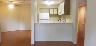 Photo #3: 20056371 Listing