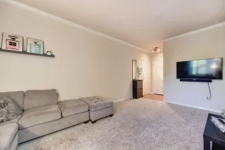 Photo #1: 20056482 Listing 