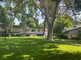 Photo #2: 20056607 Listing