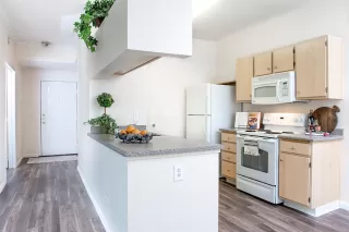 Photo #2: 20057249 Listing