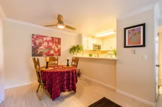 Photo #1: 20057526 Listing