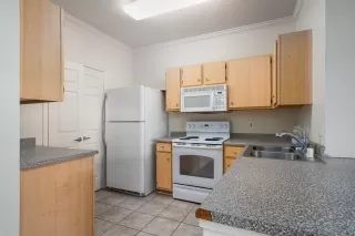 Photo #5: 20057817 Listing