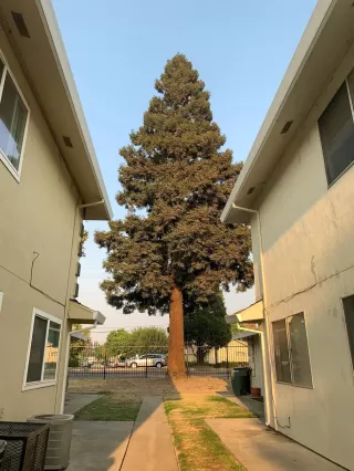 Photo #1: 20058157 Listing