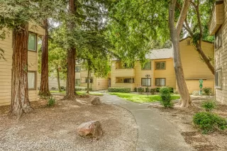 Photo #1: 20059058 Listing