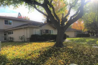 Photo #1: 20059351 Listing