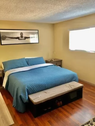 Photo #4: 20063482 Listing