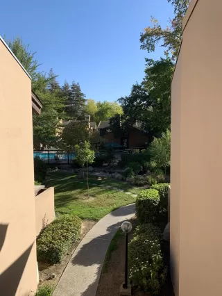 Photo #1: 20063514 Listing