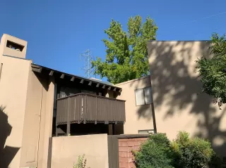 Photo #2: 20063514 Listing