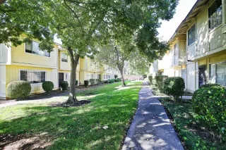 Photo #1: 20065048 Listing