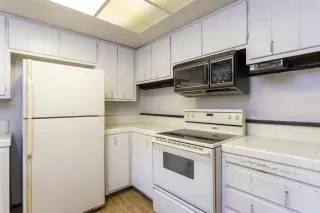 Photo #1: 20065150 Listing