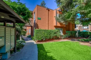 Photo #1: 20066818 Listing 