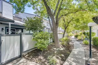 Photo #1: 20067027 Listing 