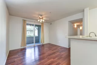 Photo #1: 20068023 Listing