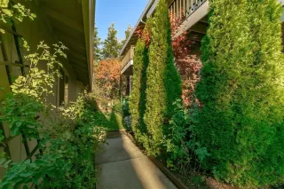 Photo #3: 20068073 Listing