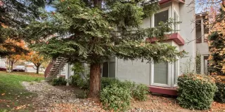 Photo #2: 20073228 Listing