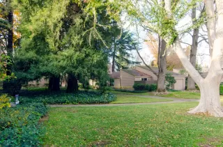 Photo #4: 20073330 Listing