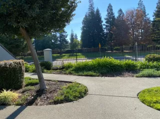 Photo #1: 20074103 Listing 