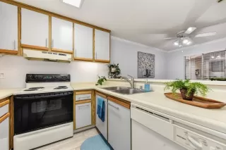 Photo #5: 20074427 Listing