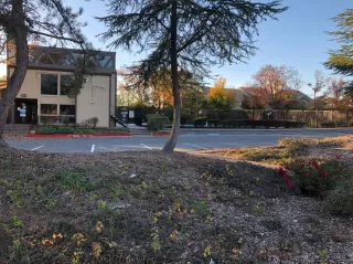 Photo #6: 20074564 Listing 