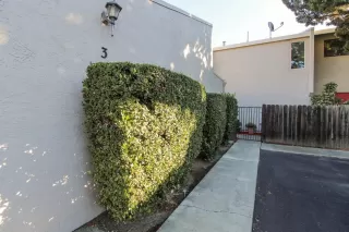 Photo #3: 20075092 Listing