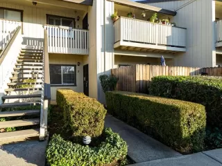 Photo #1: 20076102 Listing 