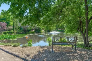 Photo #2: 20077421 Listing