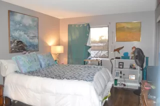 Photo #1: 20078585 Listing