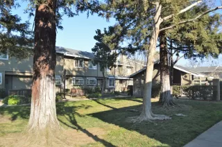 Photo #4: 20078585 Listing