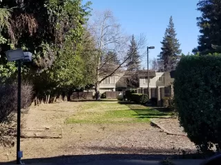 Photo #5: 20079497 Listing