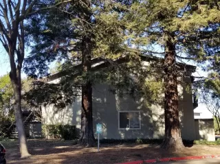 Photo #6: 20079497 Listing