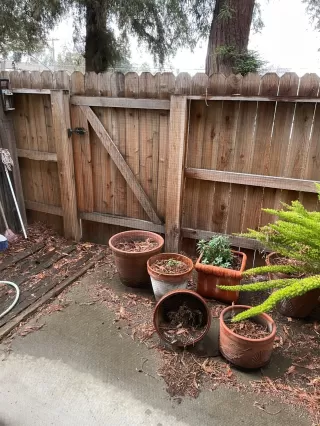 Photo #2: 20079589 Listing 
