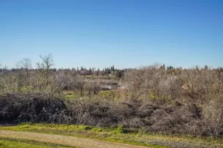 Photo #1: 221000732 Listing 