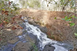 Photo #3: 221000773 Listing