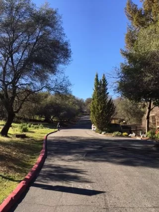 Photo #1: 221001914 Listing