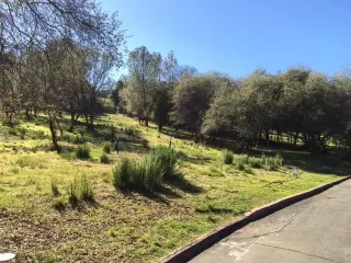 Photo #3: 221001914 Listing