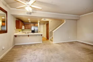 Photo #5: 221002253 Listing