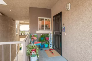 Photo #2: 221003128 Listing 